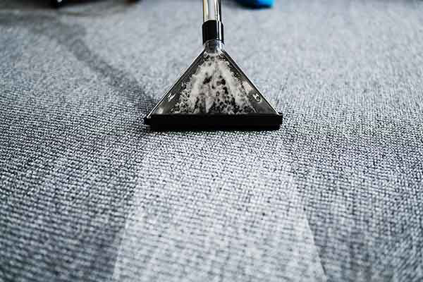 carpet cleaning services